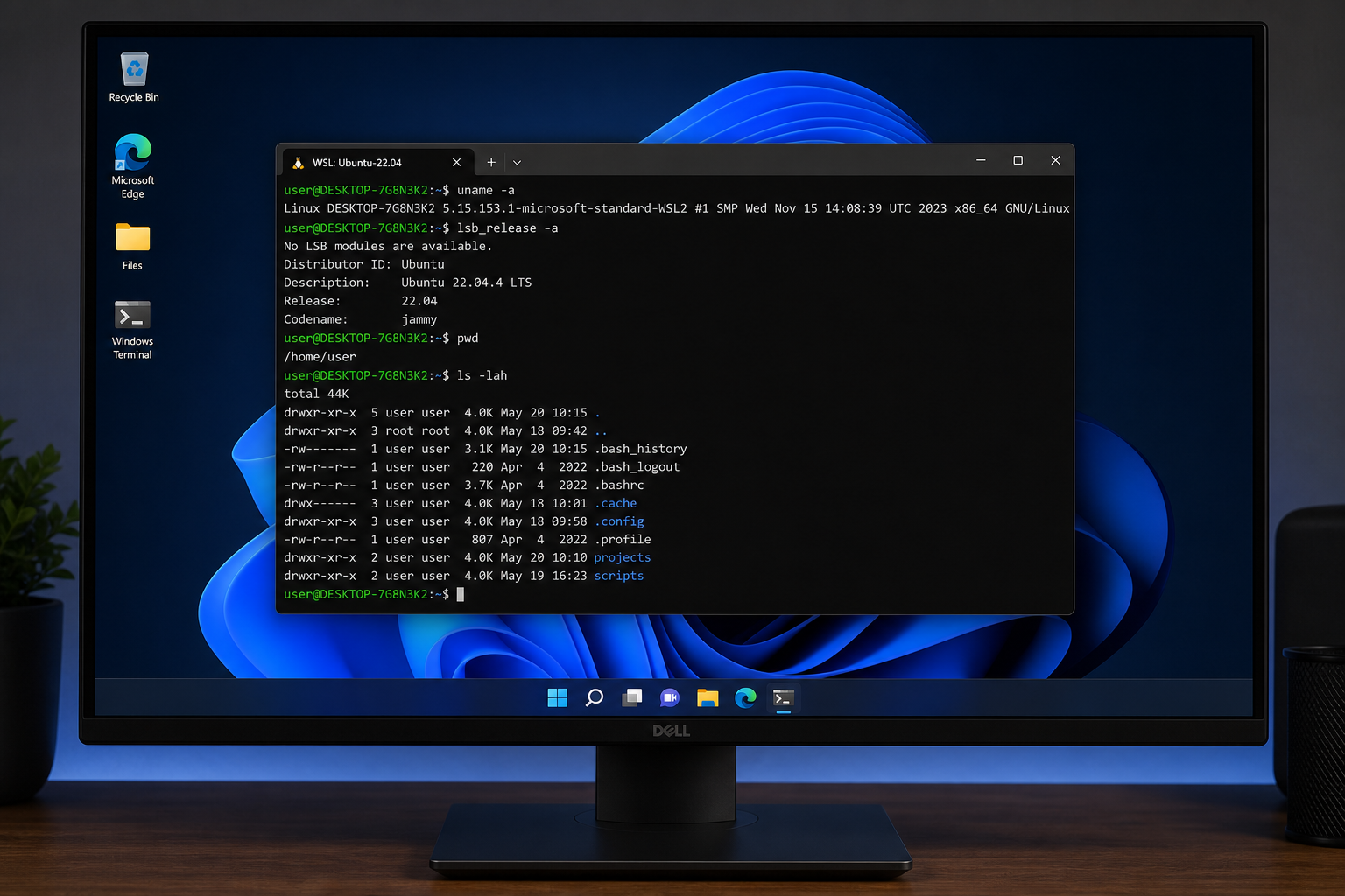Why Linux User Switches to Windows 11: Windows 11 desktop with WSL2 Linux terminal open showing bash commands