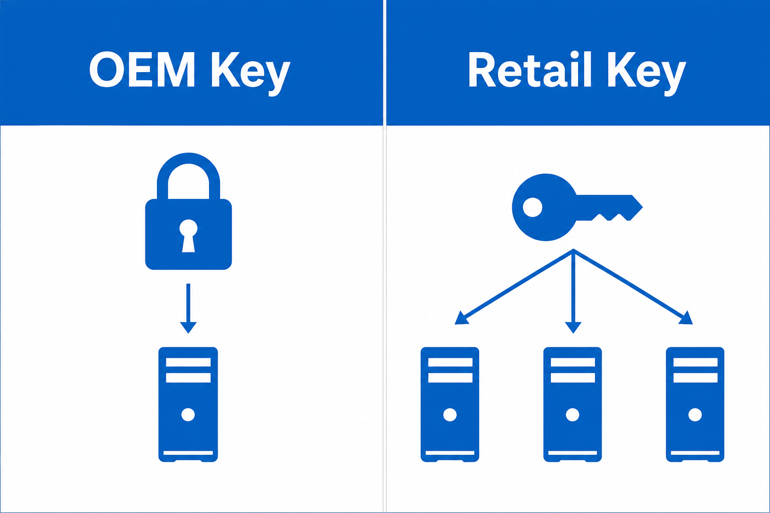 Windows 11 Pro key OEM versus retail license types compared side by side