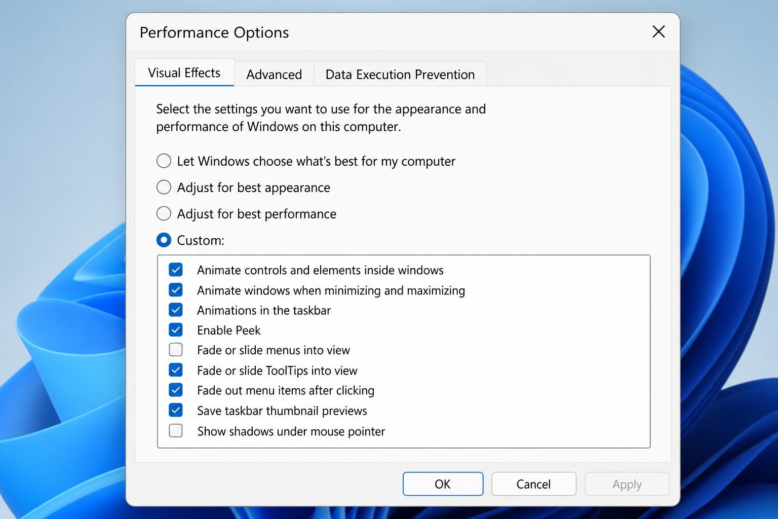 steps to make your PC faster using performance options dialog